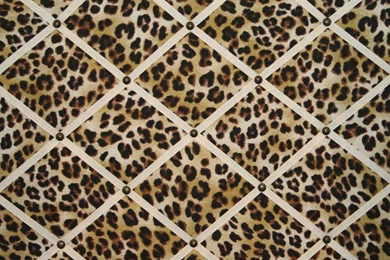 Cheetah Print Wallpapers Amazonsand