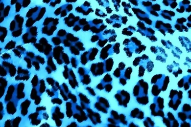 Top Cheetah Print Light Images For Pinterest