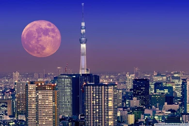 Moon Over Tokyo, Japan Wallpapers Full HD [1920x1200]   Free ...