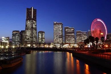 Free Screensavers And Wallpapers   7Screensavers.com