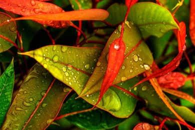 Heavy Rain Desktop HD Wallpapers