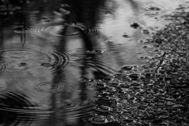 Rain Wallpapers   Artistic Wallpapers