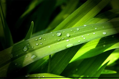 Wallpapers Jackass Best Movies Of High Quality High Definition ...