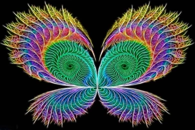 Butterfly   Neon Colors Rock Wallpapers (18996035)   Fanpop
