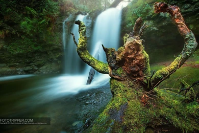 Free Desktop Backgrounds   Fototripper