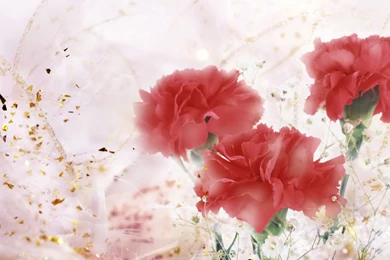 Valentine Desktop Backgrounds