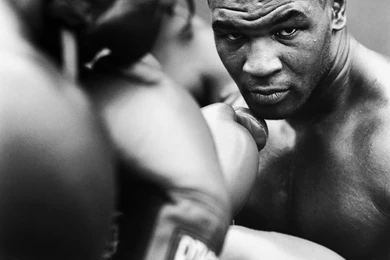 Boxing, Mike Tyson, Knockout :: Wallpapers