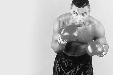 Anonymous Junkyard Wallpapers   Mike Tyson Wallpapers