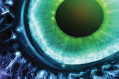 Pendulum Electronics Witchcraft Album Covers Drum And Bass