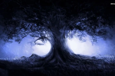 Blue Darkness Wallpapers   Fantasy Wallpapers