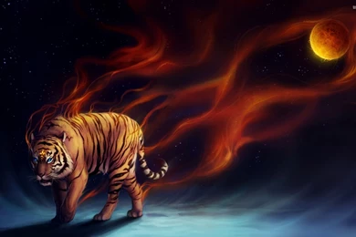 Flaming Tiger Walking Into The Darkness Wallpapers   Fantasy ...