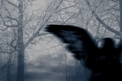 Divine_Darkness 436213.jpeg