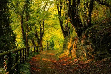 1280x1024 Autumn Desktop PC And Mac Wallpapers