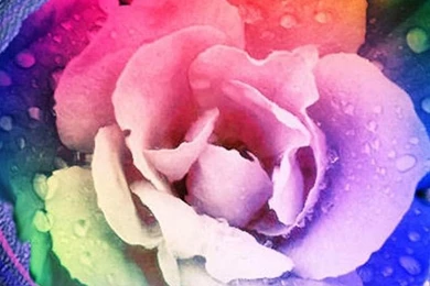 20 Best Creative, Beautiful & Colorful iPhone Wallpapers & Backgrounds