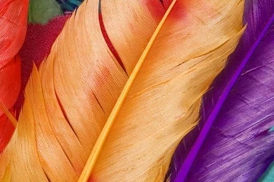 Colorful Mobile Phone Wallpapers HD Phone Wallpapers Img 17