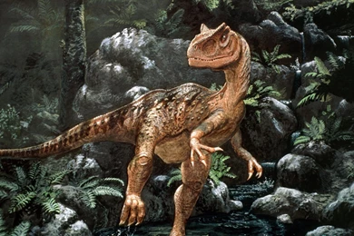 Dinosaur Computer Wallpapers, Desktop Backgrounds