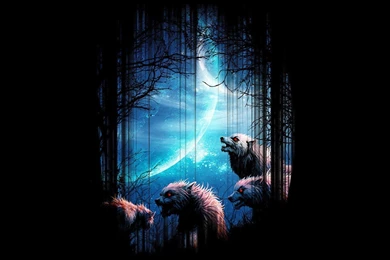 Wolves Night Forest Moon Backgrounds HD Wallpapers