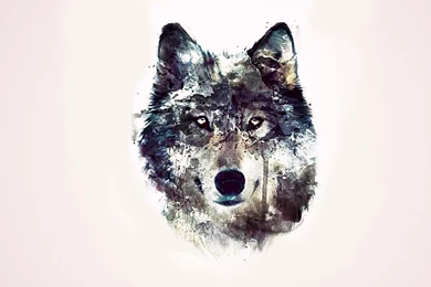 Abstraction Wolves Backgrounds Eyes Wolf Abstract Wallpapers ...