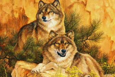 Grey Wolves Wallpapers In 800x600 Resolution