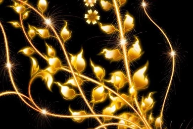 HDscreen: Black Flowers Gold Desktop Bakcgrounds