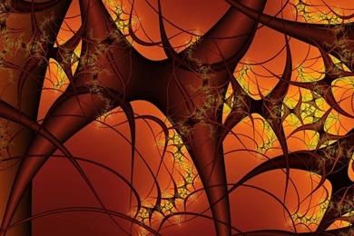 Orange Strange Fractal Backgrounds Wallpapers   1920x1200   883320