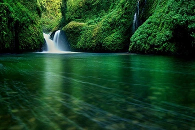 Download Forest Wallpaper Waterfall Picture Green Water Image.jpg