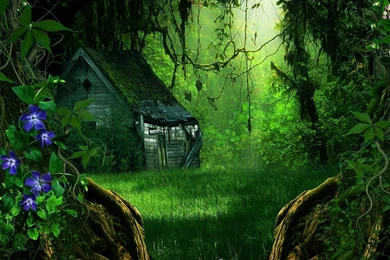 Abandoned House In The Forest Wallpapers   Fantasy Wallpapers