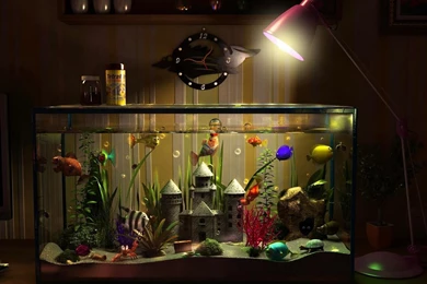 Aquarium On The Desk Wallpapers   Digital Art Wallpapers