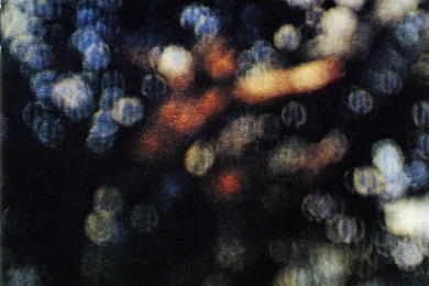 PINK FLOYD BACKGROUND WF1002