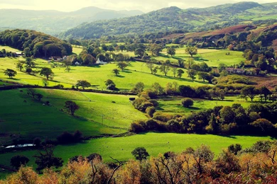 Fields Top View Shadow Ultra HD 4k Wallpapers