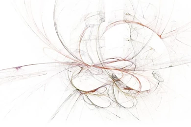 Soft white backgrounds wallpapers.jpg