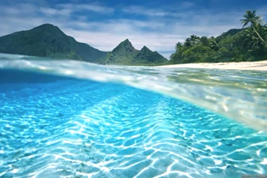 Beautiful Summer Wallpapers 3   Crazy Frankenstein