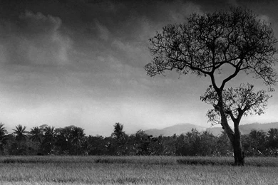 Black And White Desktop Wallpapers