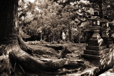 Black And White Desktop Wallpapers