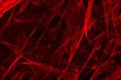 Black And Red Backgrounds