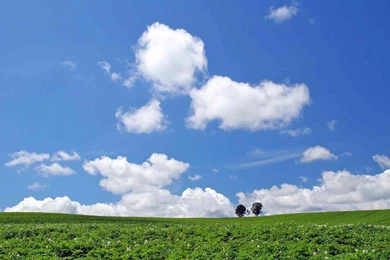 Q6rxl Wallpapers 465512332 1920x Jpg 290177