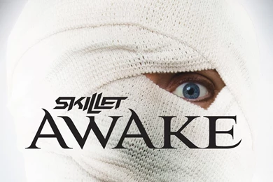 Skillet  'Awake' Wallpapers   Skillet Wallpapers (10496943)   Fanpop
