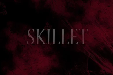 Skillet Wallpapers By AhnnahMarina On DeviantArt