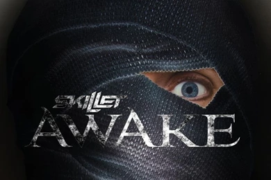 Skillet Awake Wallpapers Edit. By Legacymedia92 On DeviantArt