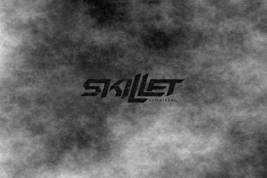 Skillet By Horse  Lover On DeviantArt