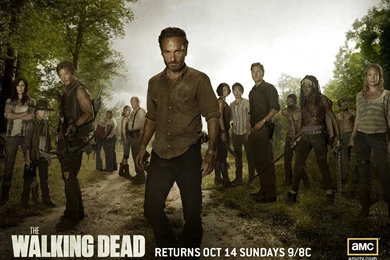 37 Michonne (The Walking Dead) HD Wallpapers