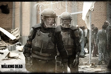 Walking Dead Wallpapers   Walking Dead Zone, The Walking Dead ...