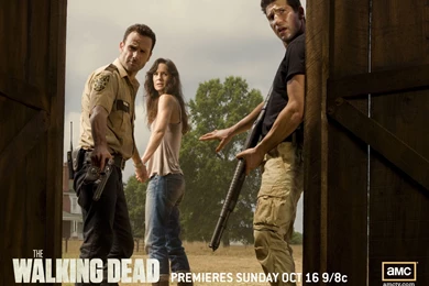 113 Rick Grimes HD Wallpapers