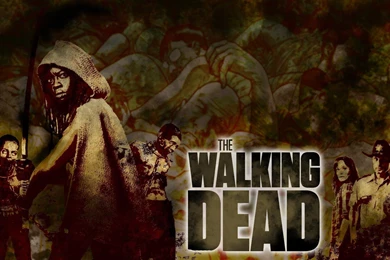 374 The Walking Dead Wallpapers The Walking Dead Backgrounds
