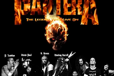 Pantera Wallpapers