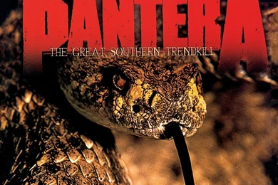 16 Pantera HD Wallpapers