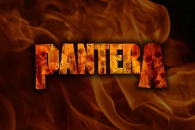 16 Pantera HD Wallpapers