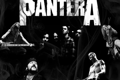 Pantera Smoke Wallpapers By Delligirl On DeviantArt