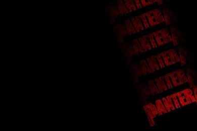 Pantera Wallpapers By Milky0303 On DeviantArt