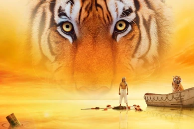 Life Of Pi Movie Desktop Backgrounds